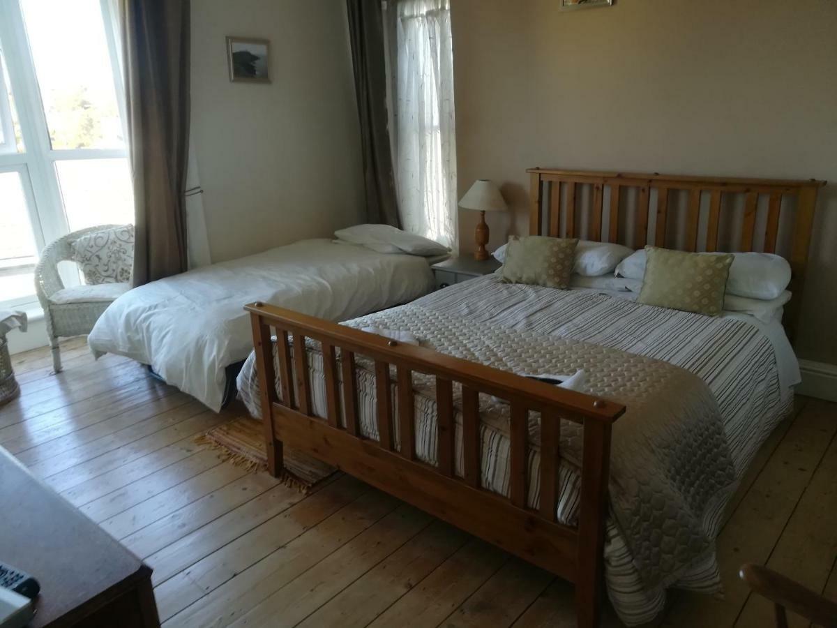 Y Garreg Wen Bed & Breakfast Llanybydder Exterior photo